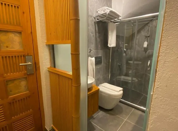 邦卡豪斯酒店 伊斯坦布尔